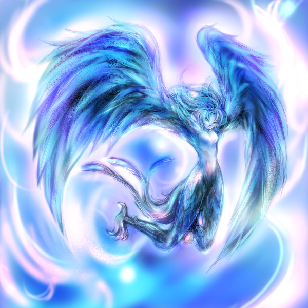 22.jpg 600��600 166K